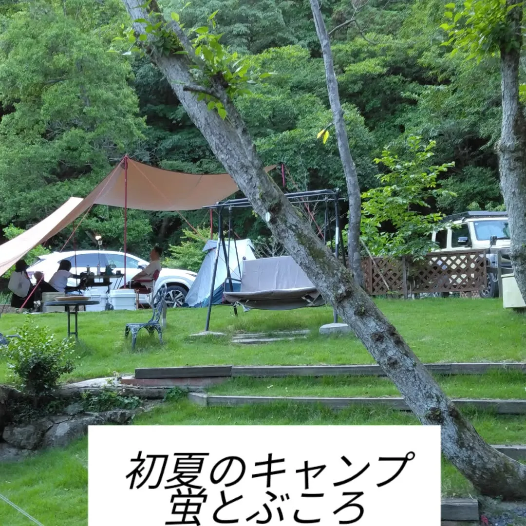 芝生麗しく
